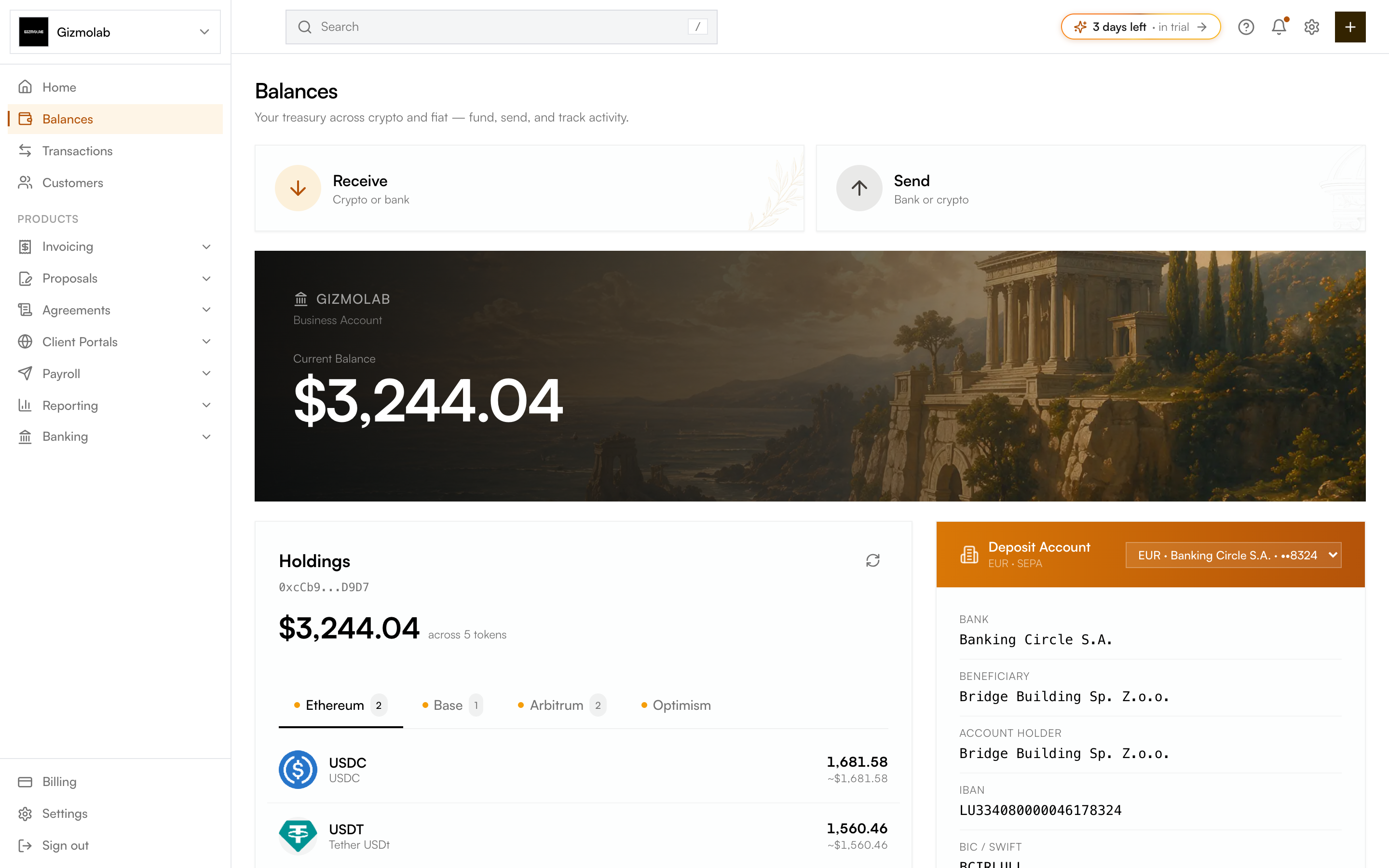 Balances page showing total balance, holdings by chain, and deposit details