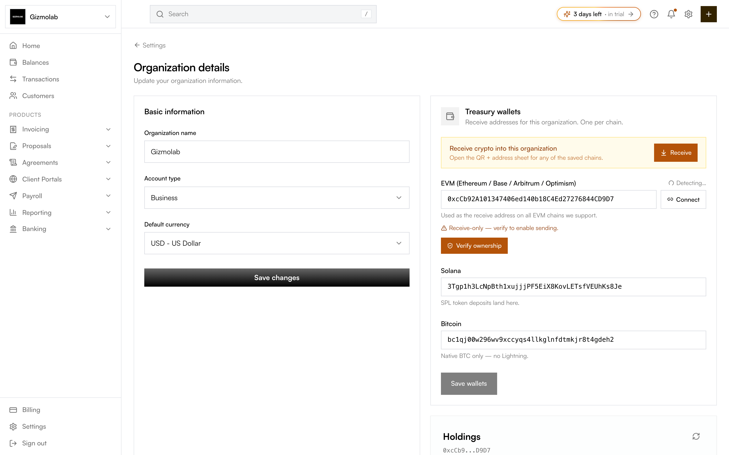 Organization details page with basic information on the left and treasury wallets on the right