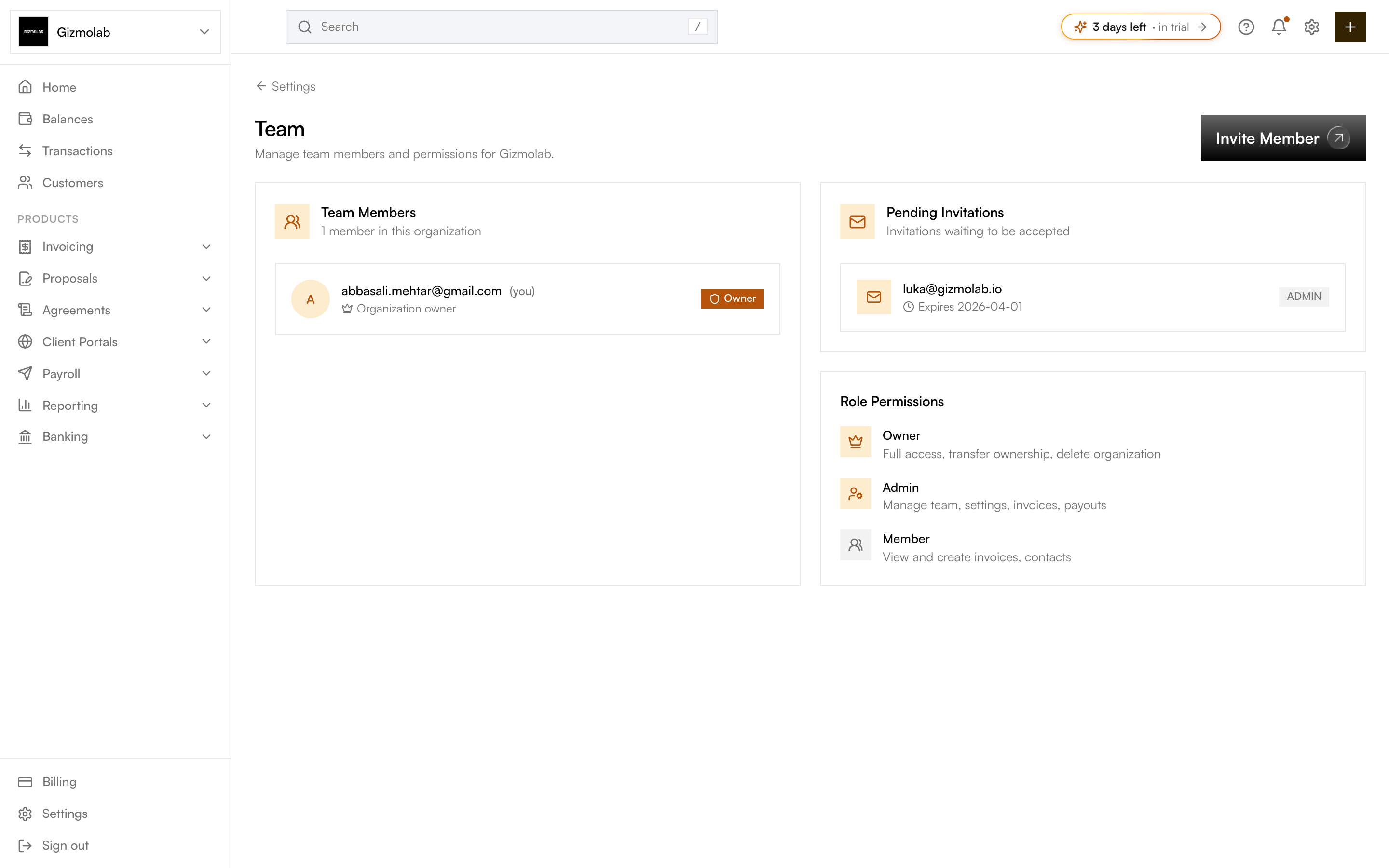 Team page showing members, pending invitations, and role permissions
